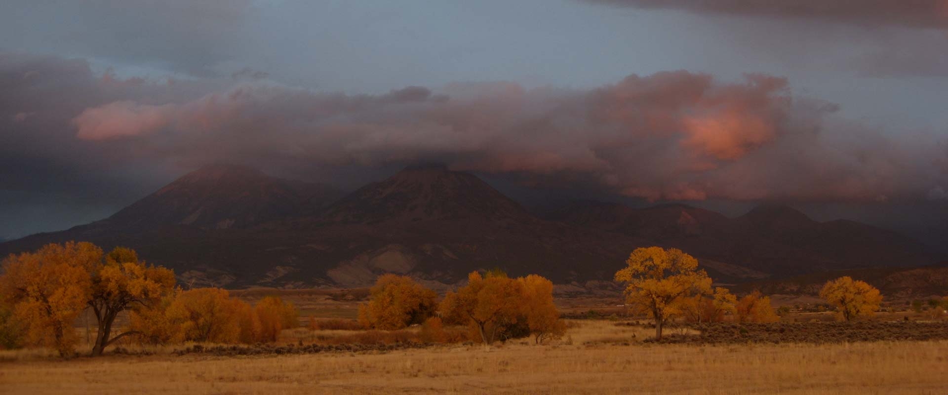 Colorado Guided Mule Deer Hunts