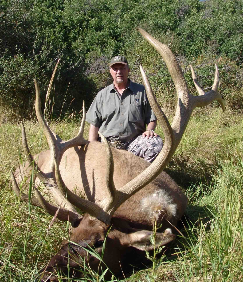 trophy roosevelt elk